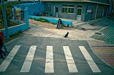 Disabled person chinese workplace