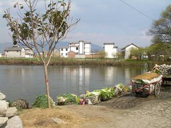 Another not very organic food farm in china