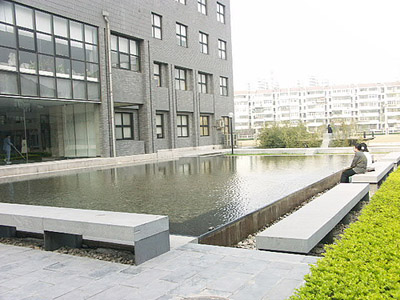 Central Academy of Fine Arts 中央美术学院