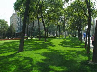 Shanghai University of Finance and Economics 上海财经大学